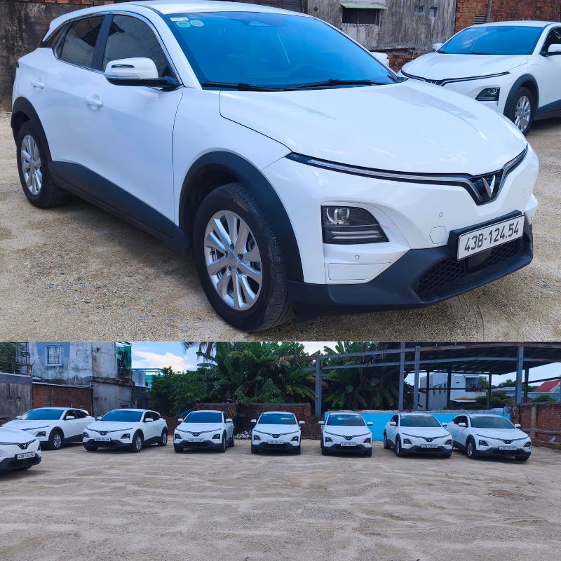 VF6s - Nội thất